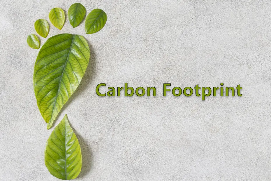carbon-footprinting-organization
