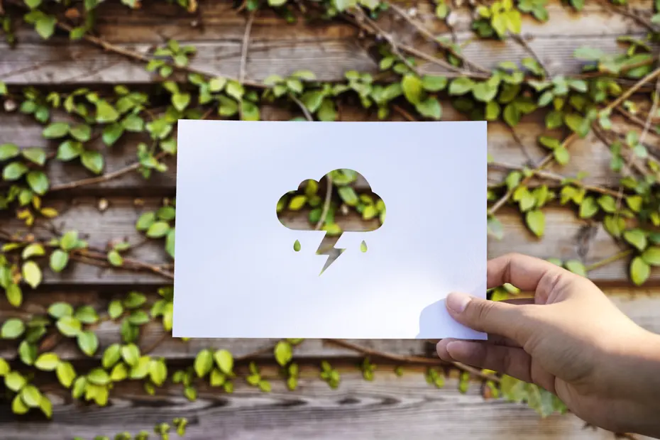 verified-carbon-standard