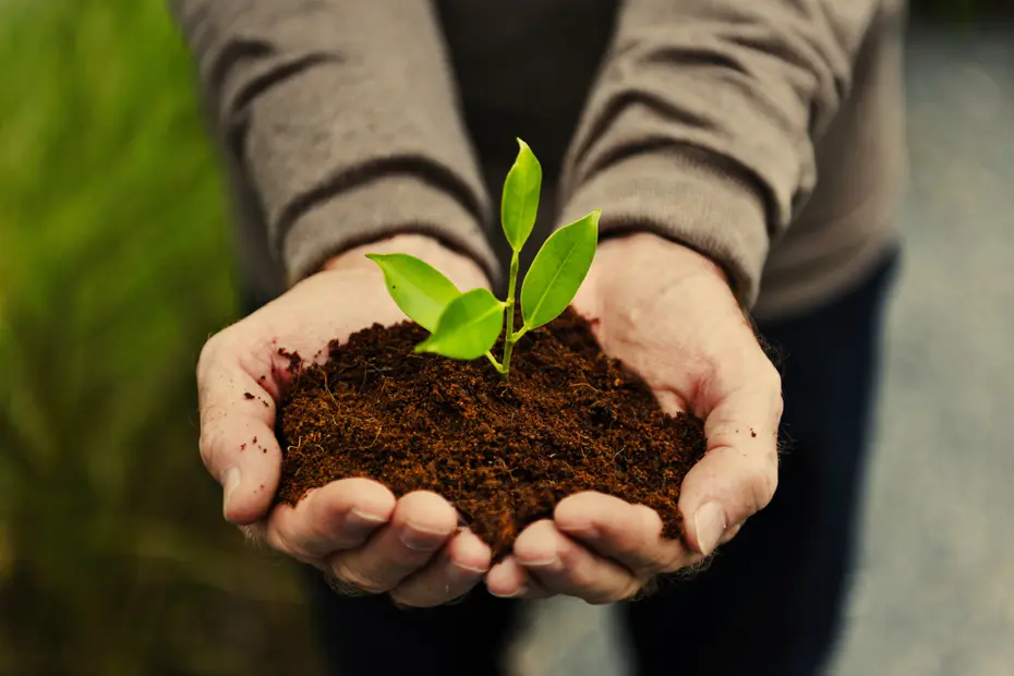 what-carbon-assurance