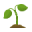 seedling